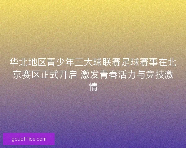 华北地区青少年三大球联赛足球赛事在北京赛区正式开启 激发青春活力与竞技激情